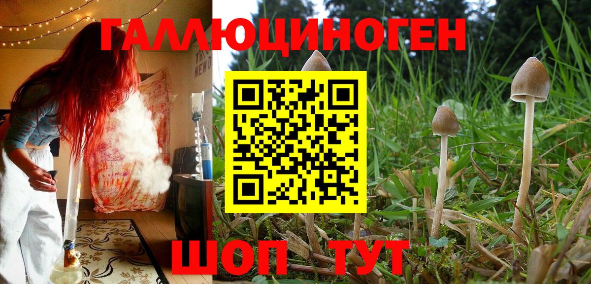 Каннабис  Мефедрон   МЕТАМФЕТАМИН  Как найти наркотики?  Ивантеевка  ГАШ  Вход с VPN  АМФ  