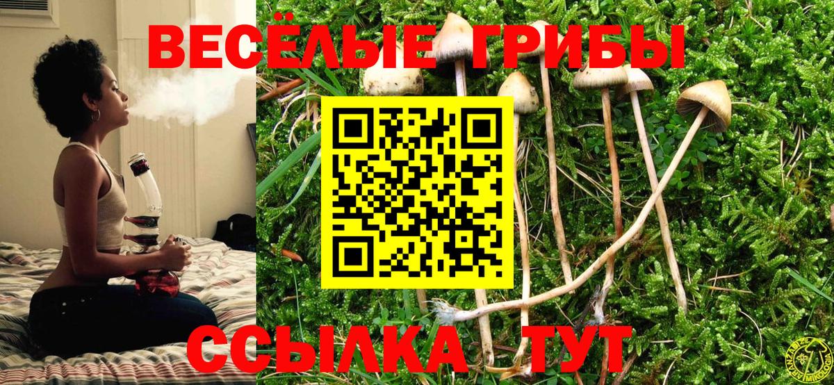 Ивантеевка  Псилоцибиновые грибы GOLDEN TEACHER  Вход с VPN 