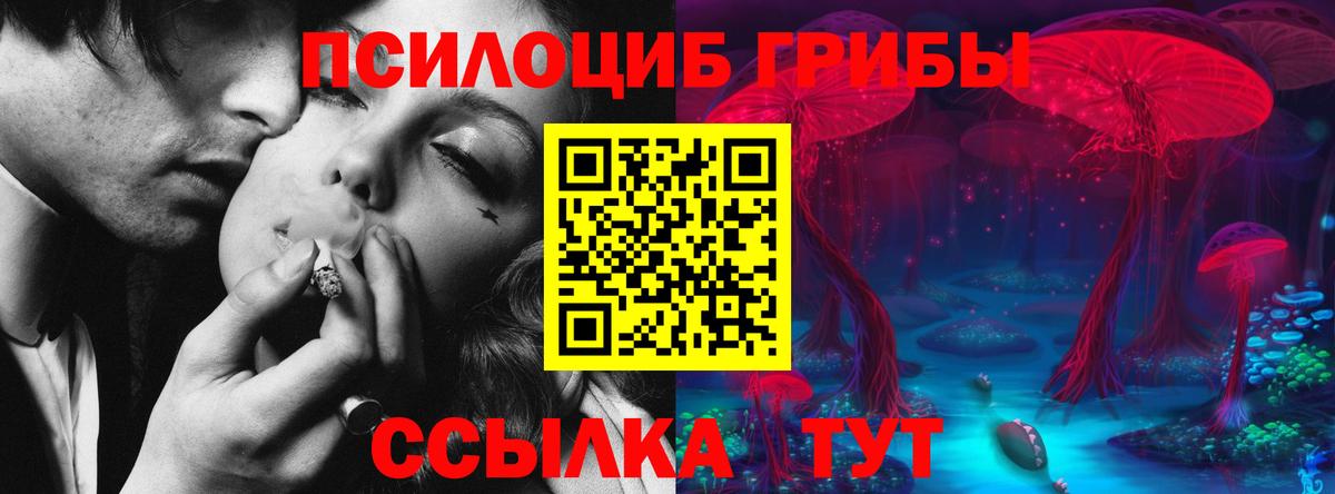 Псилоцибиновые грибы Magic Shrooms Ивантеевка
